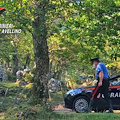 Coppia di Avellino si avventura nei boschi e viene rapinata da 30enne armato di coltello 