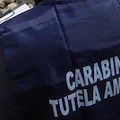 Costa d'Amalfi, Carabinieri impegnati nel contrasto a reati ambientali