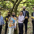 Costa d'Amalfi, direttore generale FAO visita le eccellenze agricole del territorio 