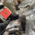 Criminalità organizzata tra Napoli e Caserta: sequestrati 750 chili di droga e 4 arresti