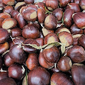 Da dodici Paesi alla Campania per gli "European chestnut days": dal 12 settembre a Montella l’evento internazionale “Eurocastanea Italia”