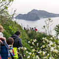 Dal 29 aprile al 1° maggio torna il City Nature Challenge nell'Area Marina Protetta di Punta Campanella