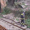 Dal 4 novembre tornano a circolare i treni tra Nocera Inferiore e Salerno (via Cava dei Tirreni)