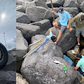 Dal Porto di Sorrento spunta uno pneumatico, successo stamani per la giornata di pulizia della scogliera