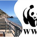 Depuratore Maiori, per WWF necessaria analisi preventiva comparata