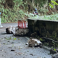 Detriti e massi sulla strada a Sant'Egidio del Monte Albino, chiuso l'accesso al Valico di Chiunzi