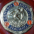 Discobolo d'argento all'associazione "Alema"