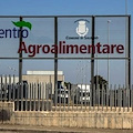 Disinfezione e sanificazione al Centro Agroalimentare di Salerno