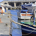 Dl Mezzogiorno, la misura “Resto al Sud” valida anche per la pesca