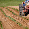 Falsifica domanda per ottenere contributo europeo, sequestro di oltre 160mila euro per imprenditore agricolo salernitano