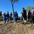 Festa dell’albero: a Sorrento saranno piantate 92 nuove piante