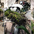 Fiat 500 sfonda il muro di una proprietà privata e rimane in bilico sulla statua della Madonna /Foto /Video