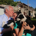 Finalmente le trovatelle di Ravello hanno una casa. Ma l’ENPA lancia appello ai Comuni: «Noi ci mettiamo il cuore, voi dovreste sostenerci!»