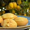 Frollino del Sentiero dei Limoni: la nuova creazione della Pasticceria Gambardella di Minori