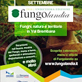 Fungolandia, torna a settembre l'edizione 2016