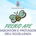 Furore, sabato 19 consegna premi APE per Ambasciatori e Protagonisti dell’Eccellenza. A Cecchi Paone la panchina dell’amore