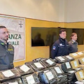 Genova, scoperti 240 kg di cocaina in container di tonno: droga per un valore di 50 milioni