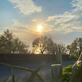 Good Morning Positano. Oggi la Chiesa Cristiana festeggia San Francesco Caracciolo. Meteo: cielo in prevalenza sereno