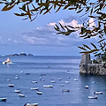 Good Morning Positano. Oggi la Chiesa festeggia Santa Monica. Meteo: nuvolosità variabile