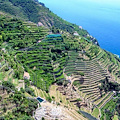 I paesaggi terrazzati: sabato 11 un'escursione sul Sentiero dei Limoni di Maiori e un'assemblea ad Amalfi