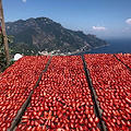 I pomodori essiccati al sole, una tradizione che racchiude tutto il gusto della Costa d’Amalfi 