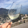 I vini di Salerno, Sannio e Vesuvio al ‘Wine meeting in Amalfi Coast’ 