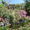 Il "Premio costadamalfilibri" prosegue a Tramonti con il salotto letterario dell'8 luglio al Giardino Segreto dell’Anima