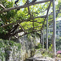 Il Sentiero dei Limoni: da Maiori a Minori un antico percorso riscoperto dai turisti