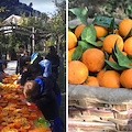 In Penisola Sorrentina torna "Spremuta Day", il consueto appuntamento con gli alunni delle scuole primarie