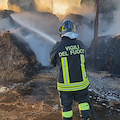 Incendio in un'azienda bufalina del Casertano: fienile in fiamme, salvati gli animali 