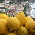 ..incostieraamalfitana.it: domenica salotto letterario sul Sentiero dei Limoni di Minori 