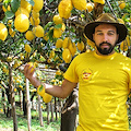 Indiana Jones Napoletano fa tappa in Costa d'Amalfi, a febbraio escursioni sul Sentiero dei Limoni