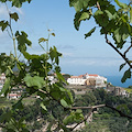 L’11 agosto le sorelle clarisse onorano la Santa Patrona, Compatrona di Ravello