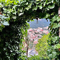 La Chiesa festeggia San Paolino, vescovo. Meteo: soleggiato. Good Morning Amalficoast