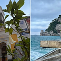 La Chiesa ricorda San Felice di Valois. Meteo: pioggia. Good Morning Positano