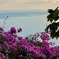 La Chiesa ricorda Santa Rita da Cascia. Meteo: sereno o poco nuvoloso. Good Morning Positano