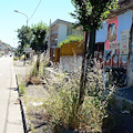 La porta nord nel totale abbandono