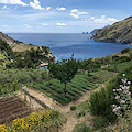 La splendida Baia di Ieranto in Penisola sorrentina è tra le 10 spiagge più belle d'Italia secondo Lonely Planet