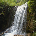 La Valle delle Ferriere ad Amalfi, uno scrigno di storia e biodiversità