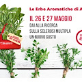 “Le erbe aromatiche di AISM”: 26-27 maggio in Costiera gli stand per la ricerca contro la sclerosi multipla