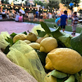 "Limoni in Festa": un trionfo di sapori e tradizioni a Massa Lubrense