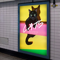 Londra, una fermata metro dedicata ai gatti /foto Glimpse