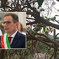 Malsecco, Conferenza dei Sindaci della Costa d’Amalfi convoca incontro a Maiori per il 23 luglio