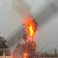 Maltempo a Salerno, albero colpito da un fulmine va in fiamme a Torrione 