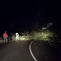 Maltempo, alberi abbattuti su strada Agerola-Pimonte: sindaci sul posto, volontari a dar man forte [FOTO]