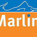 Marlin Editore si legge anche in rete