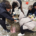 Massa Lubrense, raccolti e smaltiti 250kg di rifiuti spiaggiati nell’area marina di Puolo