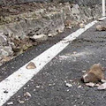 Massi sulla strada, chiusa l'Amalfitana a Positano