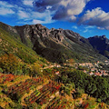 Meraviglia Tramonti: dove il vino è poesia della terra. L'omaggio ai grandi contadini [VIDEO]