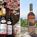 Miglior Rosato del Mediterraneo: i vini Costa d'Amalfi DOC conquistano il podio grazie a Marisa Cuomo e Giuseppe Apicella